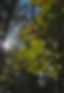 IMG_20211020_114330_edited_edited.jpg