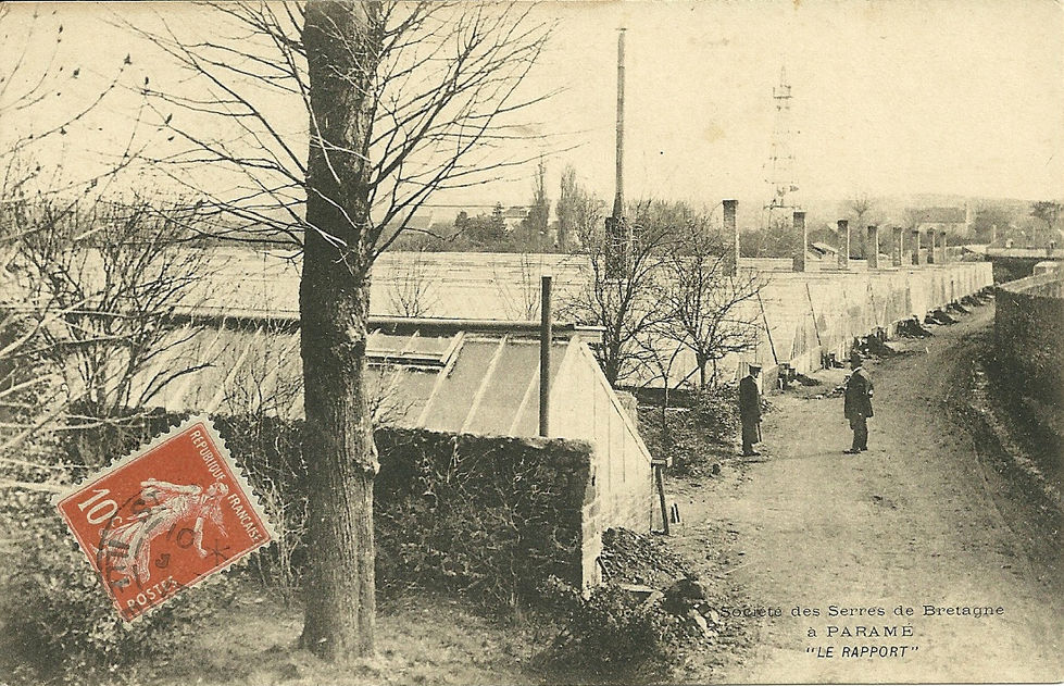 Societe des Serres de Bretagne Le rapport0001