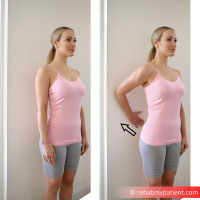 Isometric Scapula Hold 10s x 3