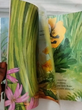 Thumbnail: For Everyone to Share_Gillian Lobel