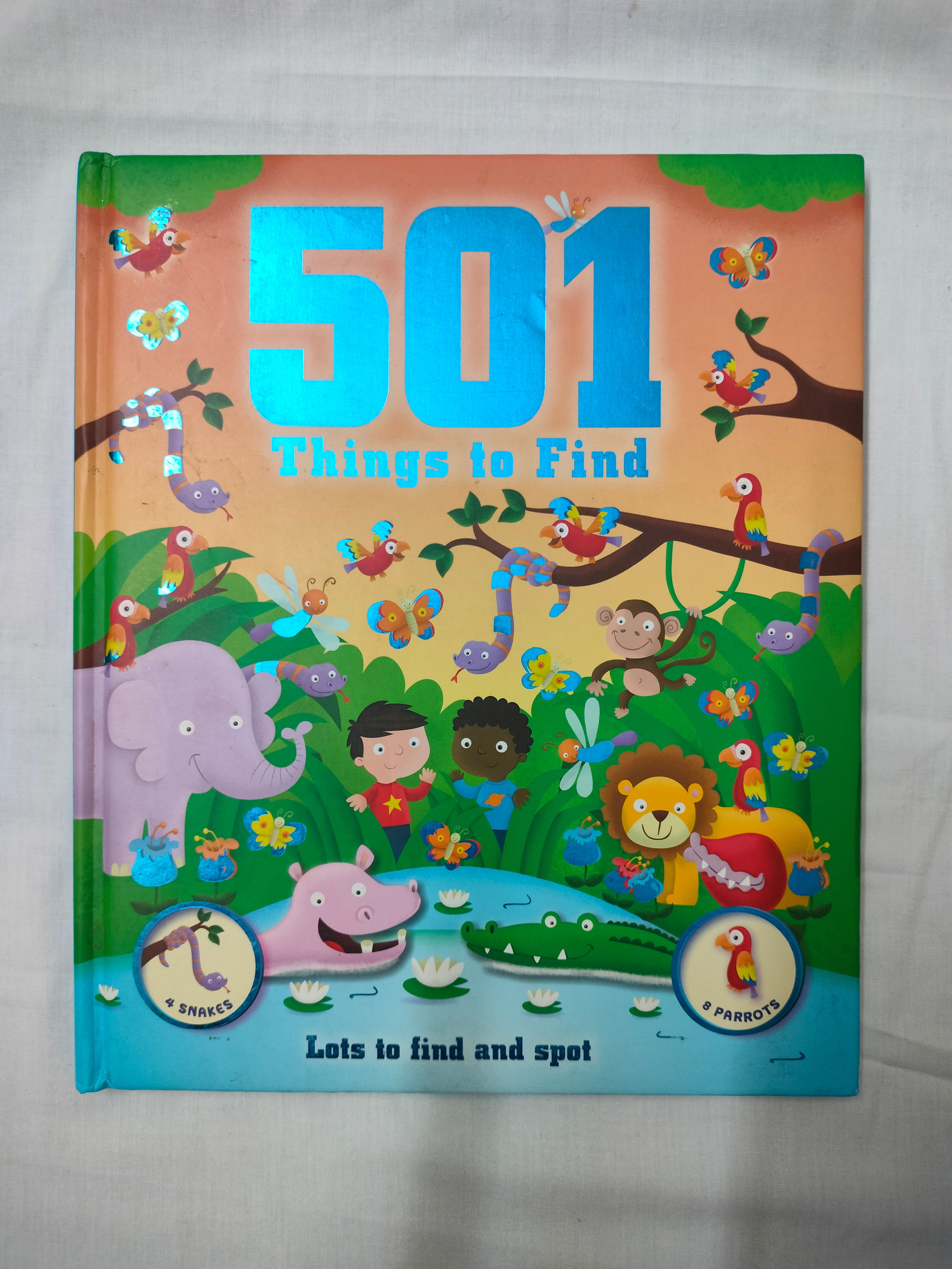 501 Things to Find