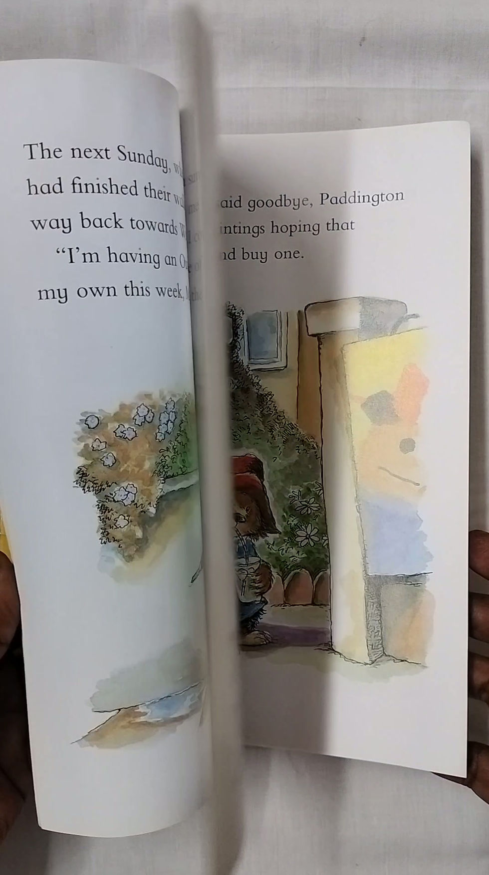 Thumbnail: Paddington the Artist_Michael Bond