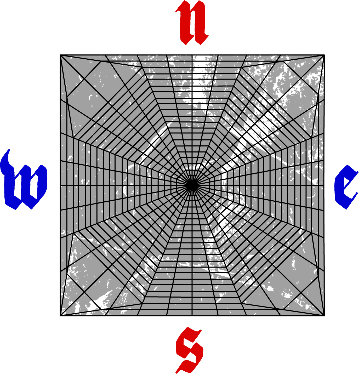 birds eye.webp