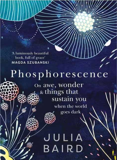 Book Phosphorescence by Julia Baird