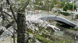 20160405_福知山城(3)