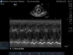 18.11.36 hs__[0020586]
