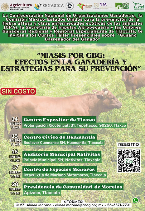 CURSOS TLAXCALA.jpg
