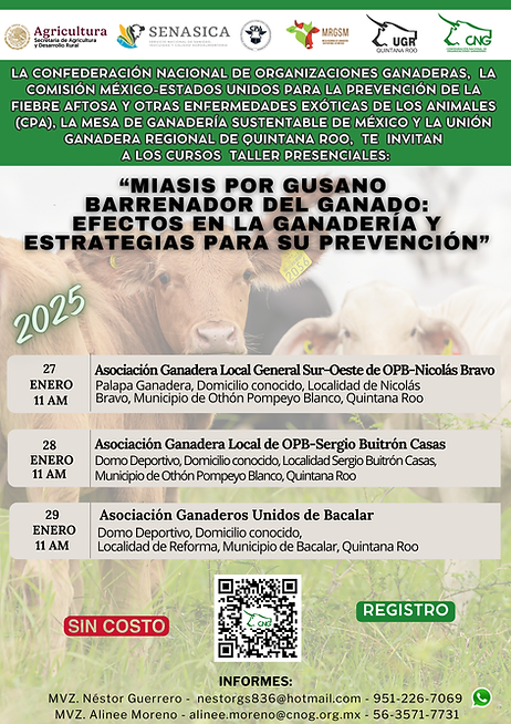 GBC Flyer Quintana Roo.png
