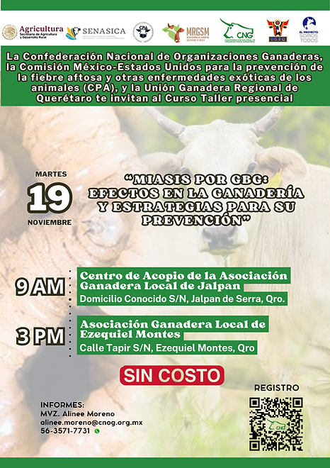 GBG QUERETARO (7).png