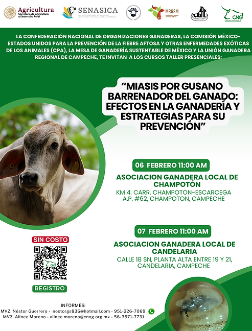 Calendario Campeche .png
