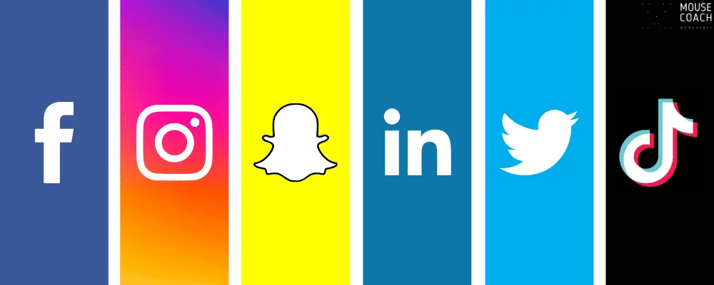 Reseaux-sociaux-pour-booster-visibilite-entreprise-Mouse-Coach-webagency.png.webp