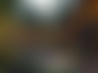 10 idées pour embellir son jardin facilement (sans se ruiner)