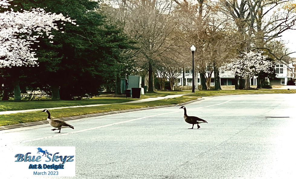 Blue Skyz Calendar Leave Behind Piece_Page_06.jpg