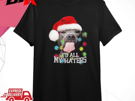 Official Santa Pitbull Christmas All My Haters Shirt