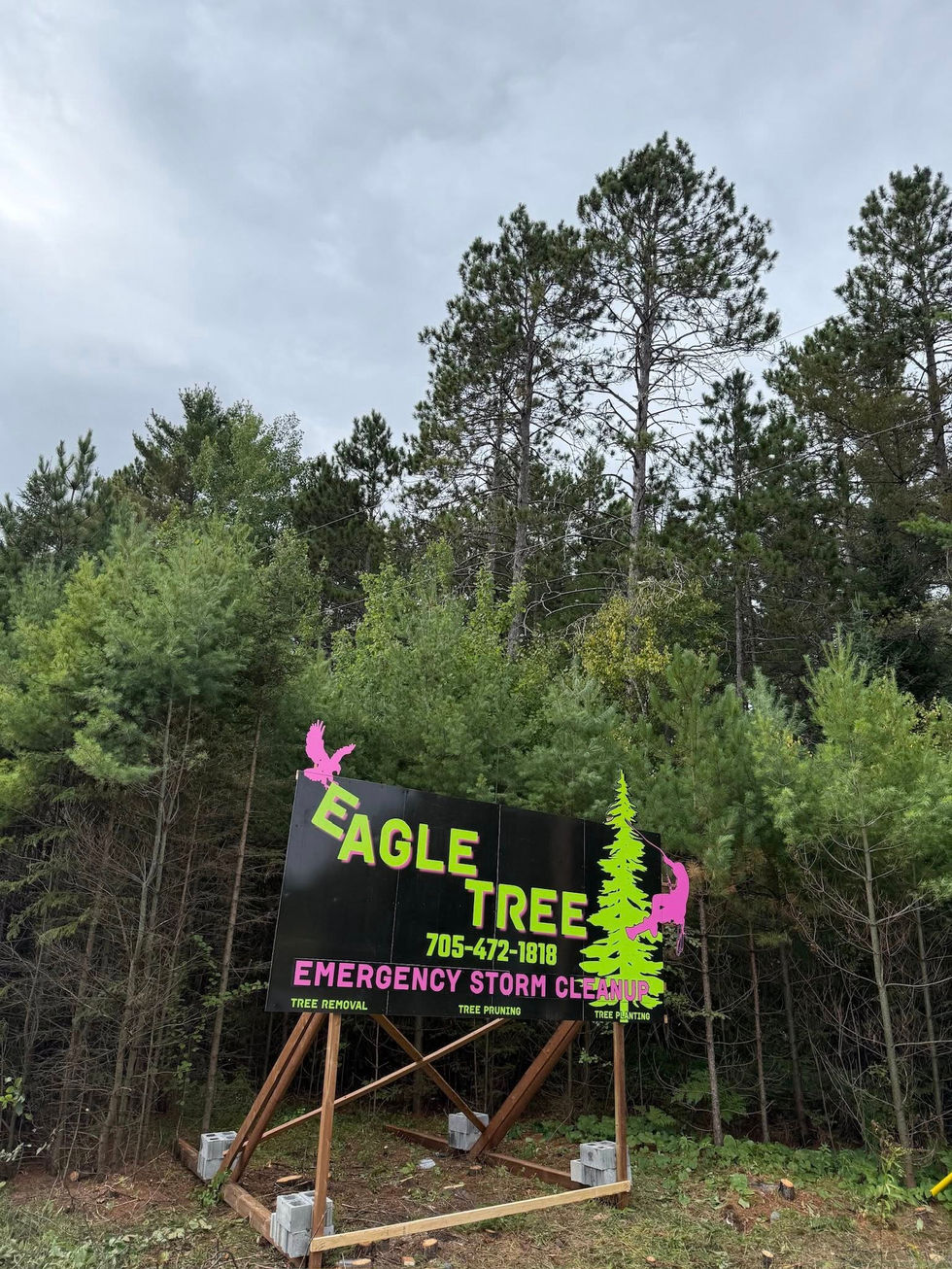 596819989_122188545992382592_2137848969775739306_n