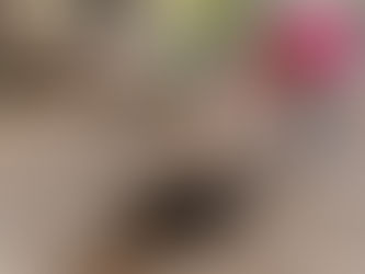 Feeding Cats in Apartments & Mobile Home Communities: Guardian Protections