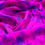 Miniaturbild: Purple Haze | Training Silk Fans | 1,5m