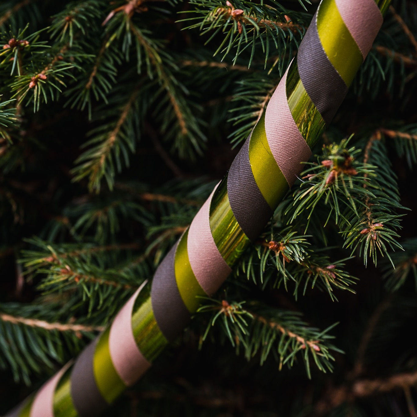 Earth Hula Hoop reifen