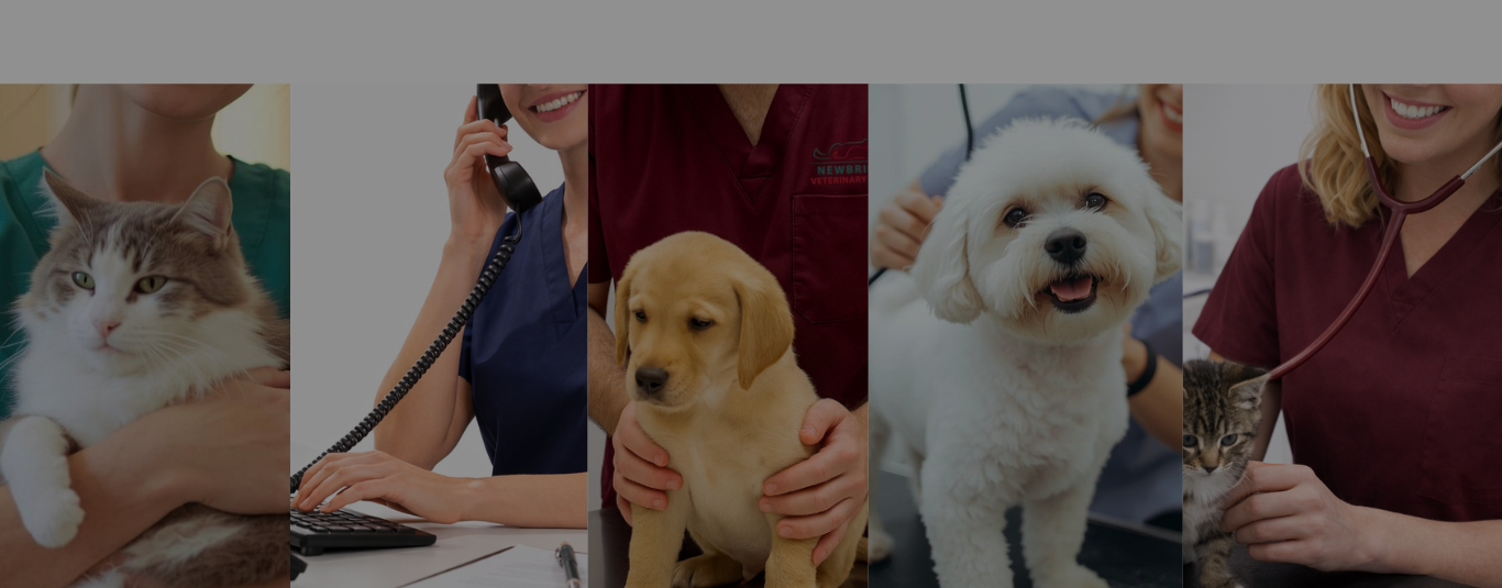 Add a heading (2).png