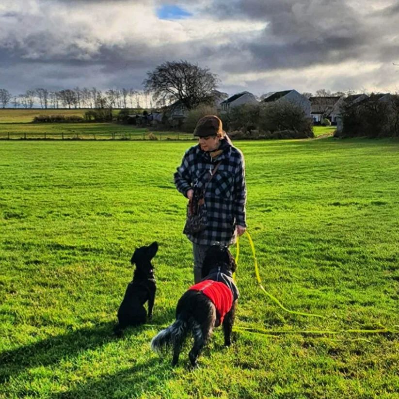Home PET GUNDOG TRAINING, DOG TRAINER, BEHAVIOUR CONSULTANT. CARLUKE LANARKSHIRE