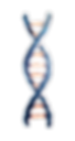 Screenshot 2025-04-23 at 2.20.19 pm-Photoroom.png