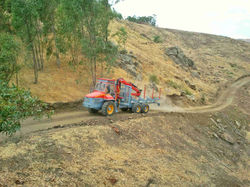 Forcar_STC.Safonte_forwarder