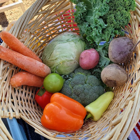 Delgado's Food Service Delivering Locally-Sourced Exotic Produce