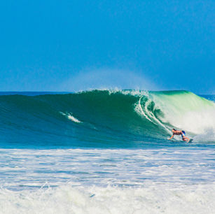 Alan Stokes Step by Step with Wavelength