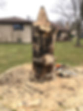 Gnome Trunk Before.jpeg