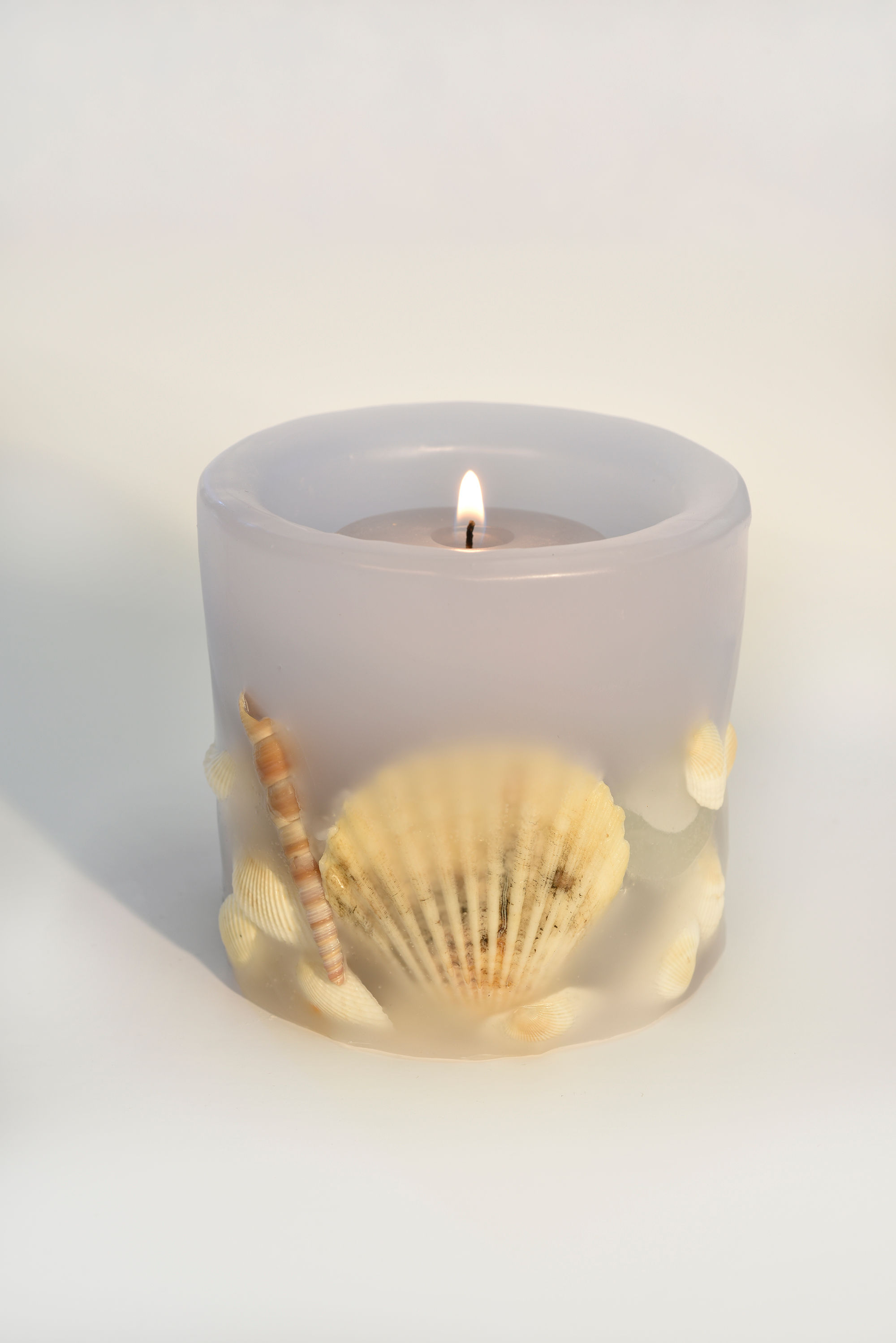 Seashell Luminary