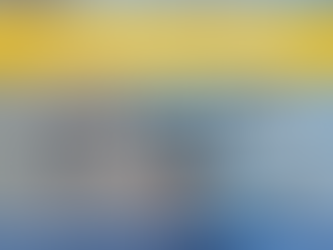 USCIS ANNOUNCES NEW 2025 NATURALIZATION CIVICS TEST