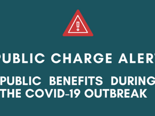 COVID-19 SUMMARY AND THE “PUBLIC CHARGE RULE”