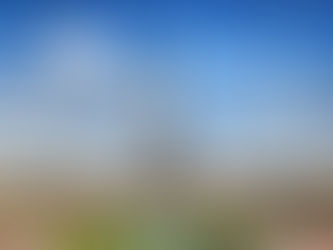 SIMONE WILLIAMS INVITED TO SPEAK AT ECONOMIC-IMMIGRATION FORUM IN PARIS, FRANCE