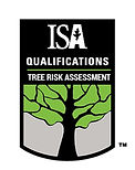 arborist2_edited.jpg