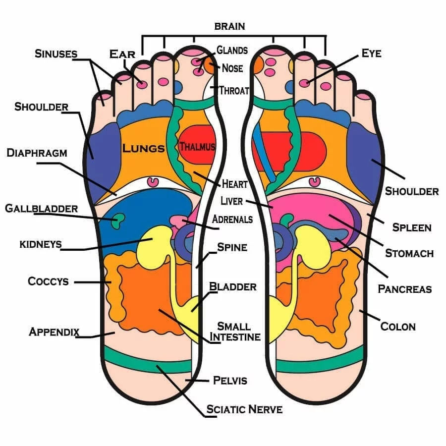 Massage Bliss Wellness Spa