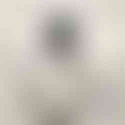 Geese Alive & In Person album cover