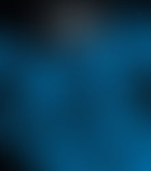 Geese Live at Third Man album cover