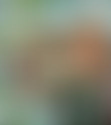 Abigail Devoe Patreon