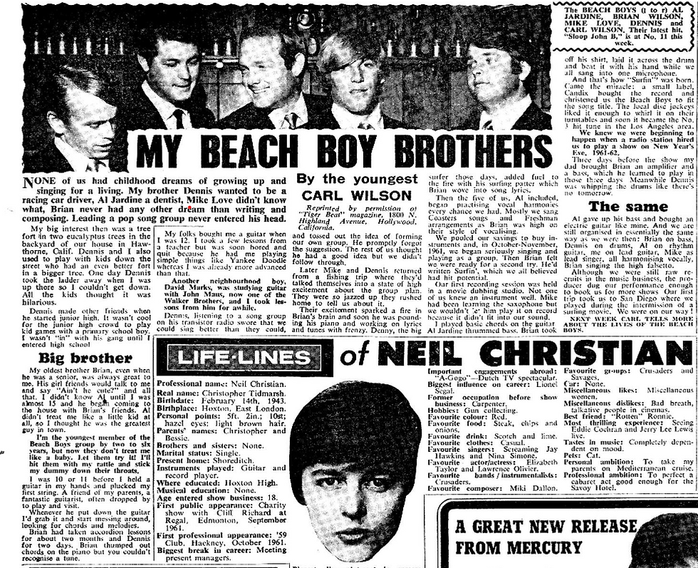 Carl Wilson NME interview 1966
