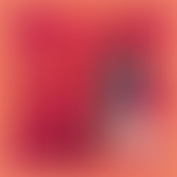 Live Dead album cover