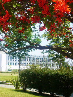 Vista panorâmica da faculdade