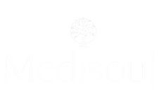 the medisoul centre.png
