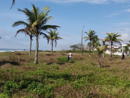 RI Guaratuba apoia Ação RenovaBR para Conscientização e Limpeza da Restinga