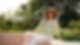 Website banner- S26.png