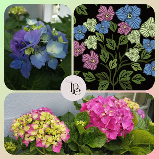 Surface Pattern Design | Lois Parish Evans | Textile Artist and Designer