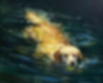 I Got the Ball! 18 x 24