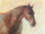 Study of a Bay Mare, 8 x 10
