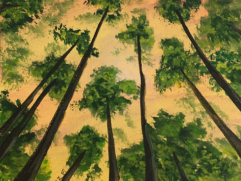 Looking Up at West Coast Trees, 2020 - L