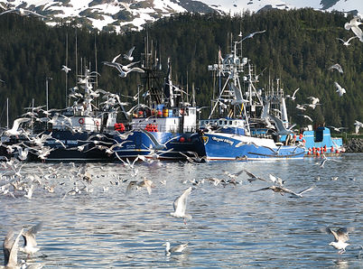 IMG_4240.JPG