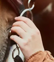 Mors et embouchures cheval